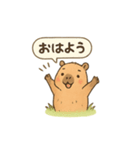 カピバラののんびりスタンプ（個別スタンプ：1）