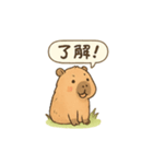 カピバラののんびりスタンプ（個別スタンプ：8）