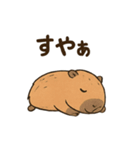 カピバラののんびりスタンプ（個別スタンプ：14）