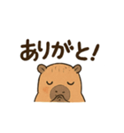 カピバラののんびりスタンプ（個別スタンプ：18）