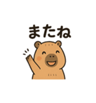 カピバラののんびりスタンプ（個別スタンプ：24）