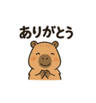 カピバラののんびりスタンプ（個別スタンプ：25）