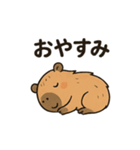 カピバラののんびりスタンプ（個別スタンプ：29）