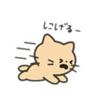 かわいいわたしのねこちゃん（個別スタンプ：14）