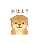 もっちりかわいいカワウソ（個別スタンプ：1）
