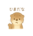 もっちりかわいいカワウソ（個別スタンプ：11）