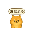 ふわもこポメの日常スタンプ（個別スタンプ：1）