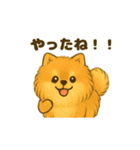 ふわもこポメの日常スタンプ（個別スタンプ：4）