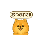 ふわもこポメの日常スタンプ（個別スタンプ：5）