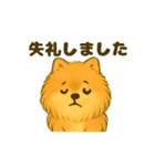ふわもこポメの日常スタンプ（個別スタンプ：6）