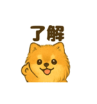 ふわもこポメの日常スタンプ（個別スタンプ：8）