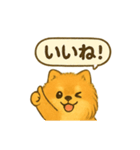 ふわもこポメの日常スタンプ（個別スタンプ：9）