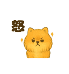 ふわもこポメの日常スタンプ（個別スタンプ：10）