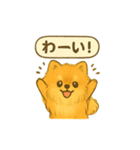 ふわもこポメの日常スタンプ（個別スタンプ：11）
