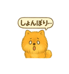 ふわもこポメの日常スタンプ（個別スタンプ：12）