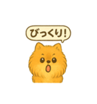 ふわもこポメの日常スタンプ（個別スタンプ：14）