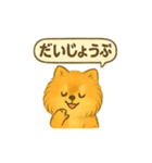 ふわもこポメの日常スタンプ（個別スタンプ：17）