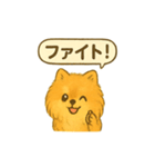 ふわもこポメの日常スタンプ（個別スタンプ：18）