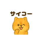 ふわもこポメの日常スタンプ（個別スタンプ：19）