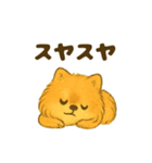 ふわもこポメの日常スタンプ（個別スタンプ：21）