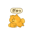 ふわもこポメの日常スタンプ（個別スタンプ：24）