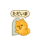 ふわもこポメの日常スタンプ（個別スタンプ：25）