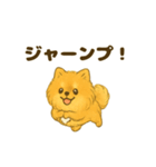 ふわもこポメの日常スタンプ（個別スタンプ：34）