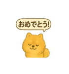 ふわもこポメの日常スタンプ（個別スタンプ：40）