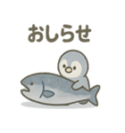 ペンギンさん巨大魚ほうこくセット（個別スタンプ：33）