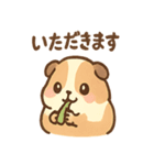 モルモットさんのくるくる大好き（個別スタンプ：4）
