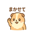 モルモットさんのくるくる大好き（個別スタンプ：11）