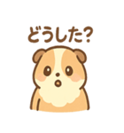 モルモットさんのくるくる大好き（個別スタンプ：13）