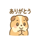 モルモットさんのくるくる大好き（個別スタンプ：24）