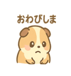 モルモットさんのくるくる大好き（個別スタンプ：25）