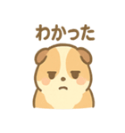モルモットさんのくるくる大好き（個別スタンプ：28）