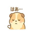 モルモットさんのくるくる大好き（個別スタンプ：33）