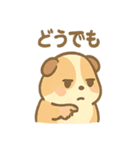 モルモットさんのくるくる大好き（個別スタンプ：34）