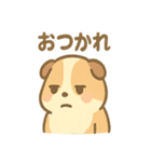 モルモットさんのくるくる大好き（個別スタンプ：35）
