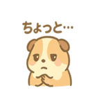 モルモットさんのくるくる大好き（個別スタンプ：36）