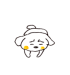 かわいいぷーわん8-1（個別スタンプ：4）