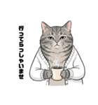グレーのトラ猫 モフたん！（個別スタンプ：4）