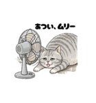 グレーのトラ猫 モフたん！（個別スタンプ：5）