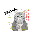 グレーのトラ猫 モフたん！（個別スタンプ：12）