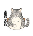 グレーのトラ猫 モフたん！（個別スタンプ：14）