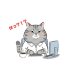 グレーのトラ猫 モフたん！（個別スタンプ：16）