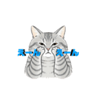 グレーのトラ猫 モフたん！（個別スタンプ：18）