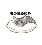 グレーのトラ猫 モフたん！（個別スタンプ：19）