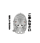 グレーのトラ猫 モフたん！（個別スタンプ：21）