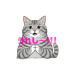 グレーのトラ猫 モフたん！（個別スタンプ：30）