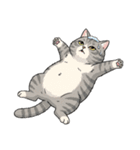 グレーのトラ猫 モフたん！（個別スタンプ：31）